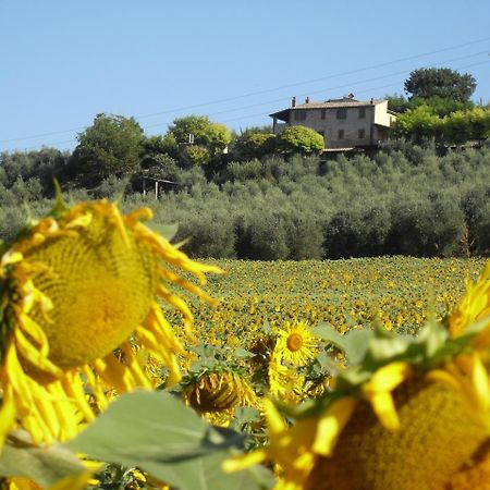 Agriturismo Oliveto Di Geltrude Contessa Apartment Amelia Exterior photo