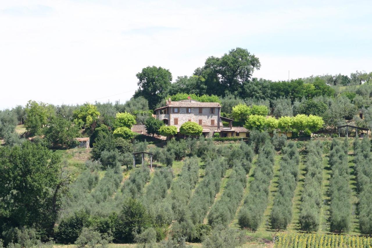 Agriturismo Oliveto Di Geltrude Contessa Apartment Amelia Exterior photo